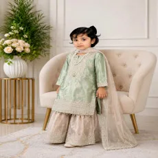Elegant Princess Sharara Set 001